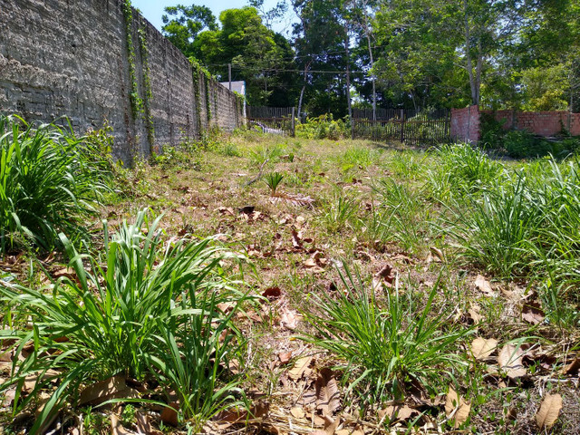 Terreno com igarapé - Foto 5