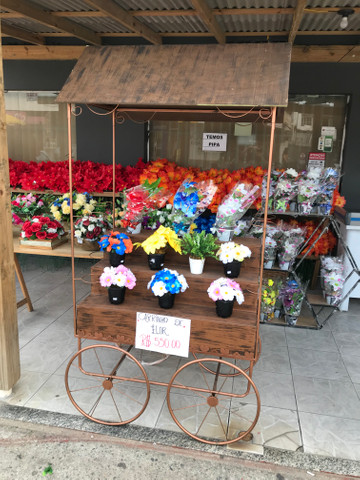 Carrinho de Flores - Foto 5