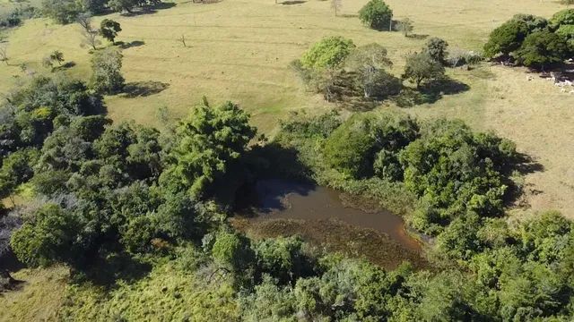 50 hectares a 25 Km de Campo Grande - Foto 11