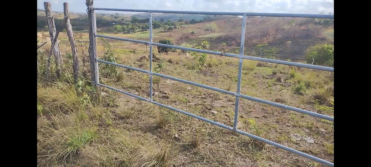 foto - São Lourenço da Mata - Capibaribe