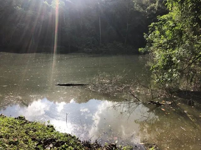 Excelente terreno em Piedade - Foto 5