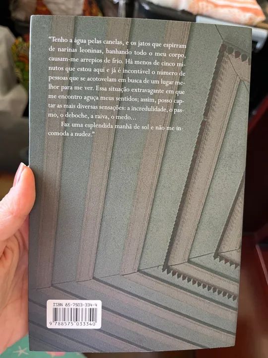 Livro: Redemoinho - Foto 2