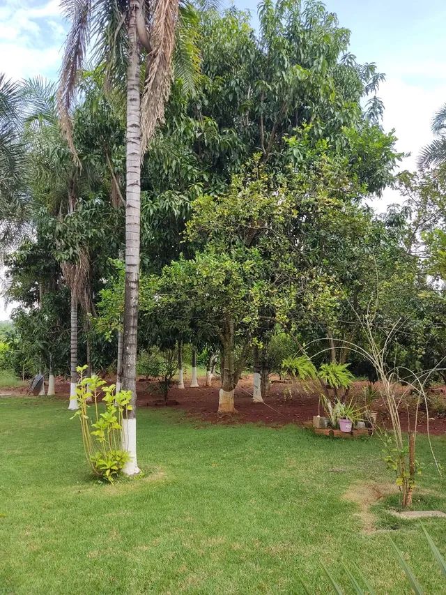 Chácara Condomínio nova Itália