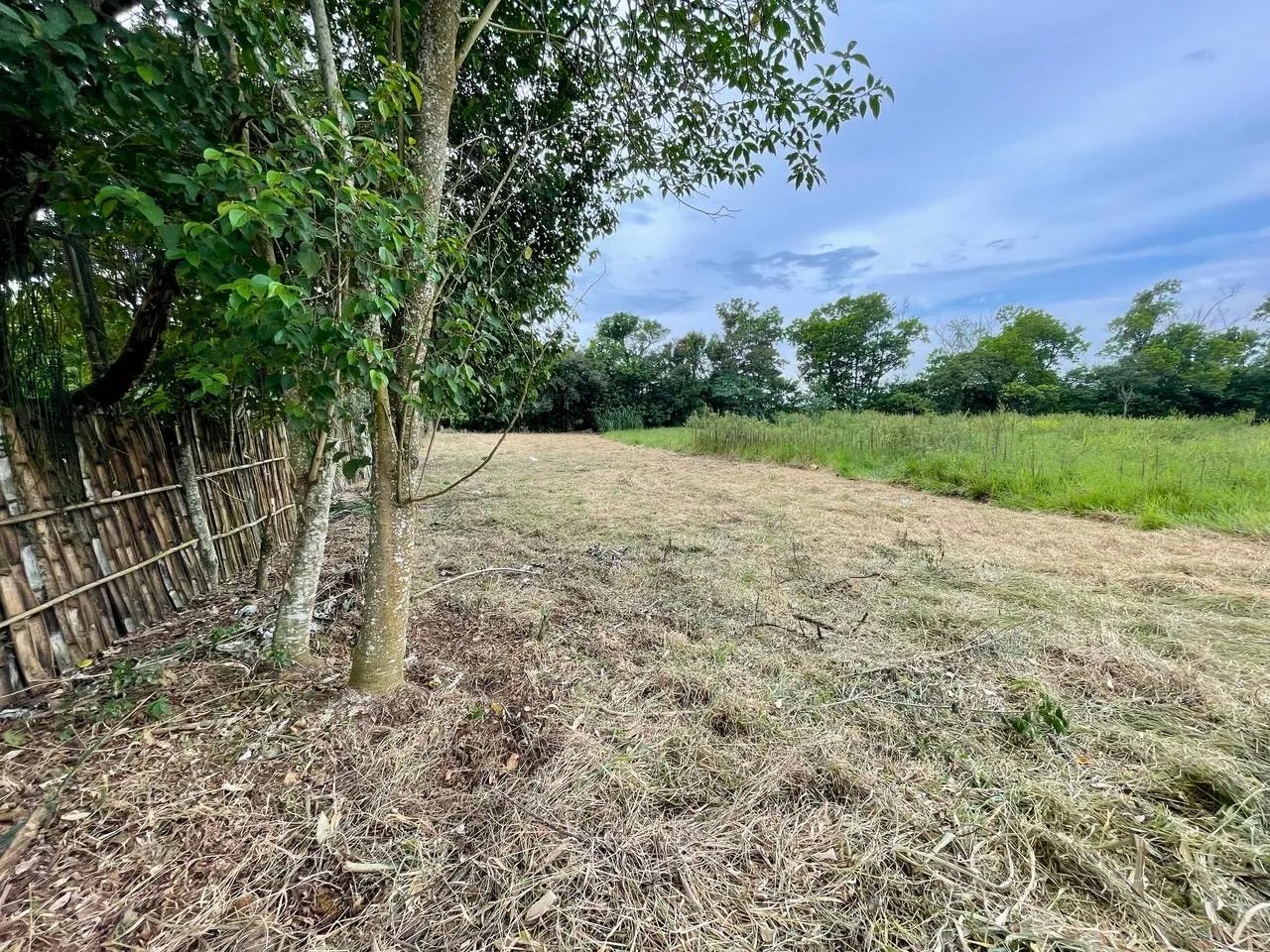 Excelente oportunidade - Terreno plano em Taubaté 1.183m² - Foto 4