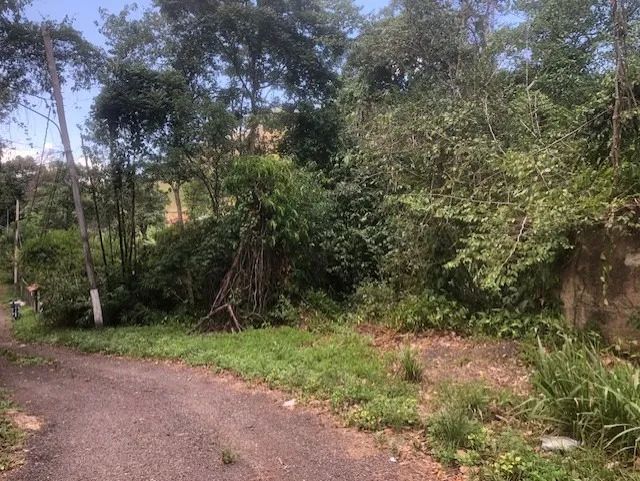 TERRENOS EM SANTA BÁRBARA - NITERÓI - Foto 2