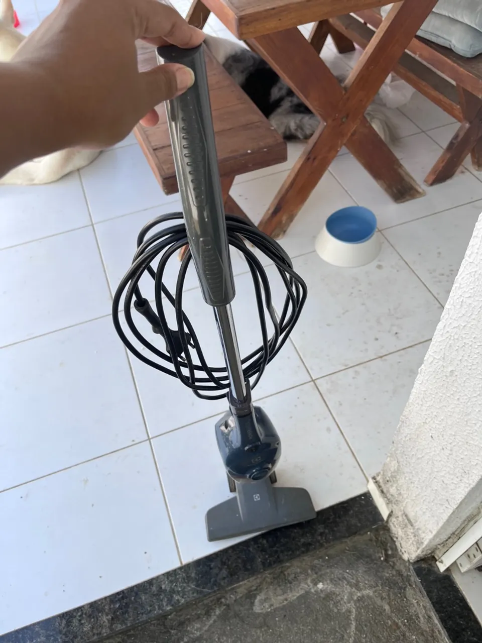 Aspirador de pó Electrolux