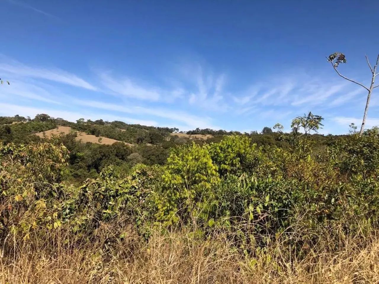 Sítio à Venda em Perdizes/MG com 3,50 Alqueires - Foto 5