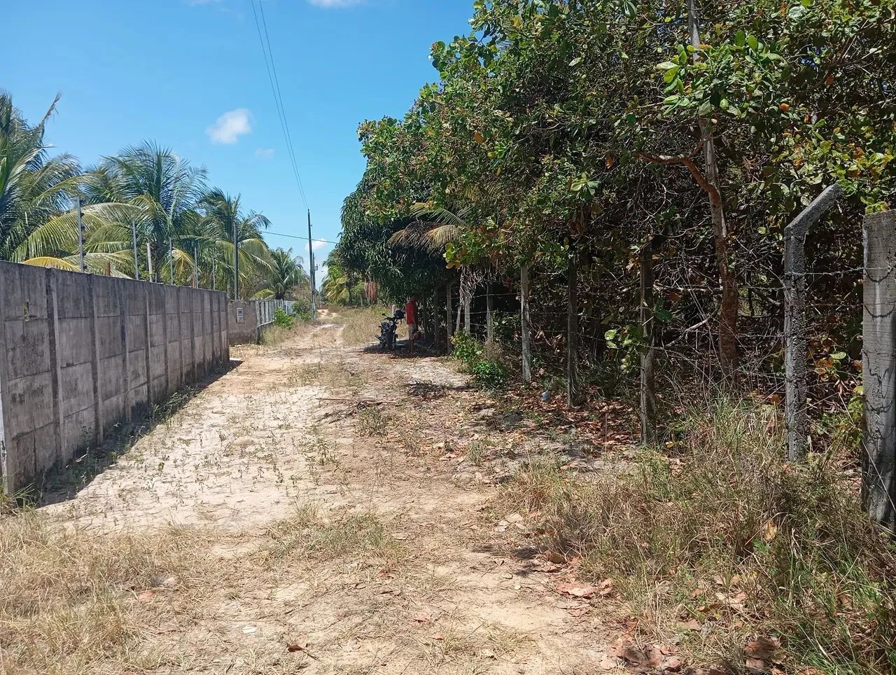 Sítio com 2,7 tarefas no povoado Angelim- Santo Amaro das Brotas - SE - Foto 3