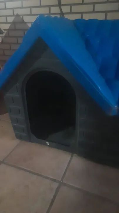 Casinha de cachorro usada de plástico, n°2 (Porte pequeno) - Foto 4