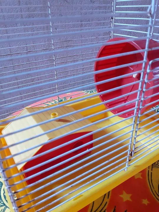 Gaiola p/ hamster ? 