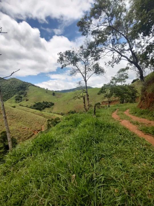 Sítio em Pedra Mulata, Viana. - Foto 3