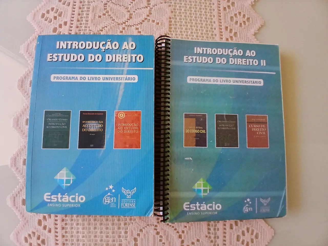 Livros Introdução ao Direito