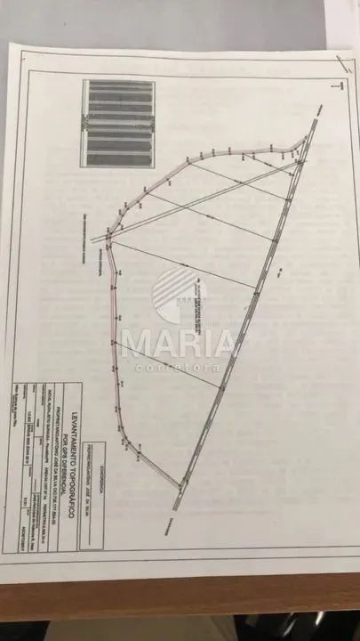 Fazenda de 33.1 Hectares à venda em Aldeia/PE! - Foto 3