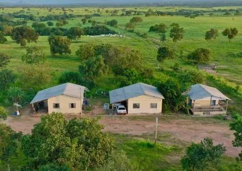 FAZENDA BARREIRO DO ONÇA - TOCANTINS - Foto 4
