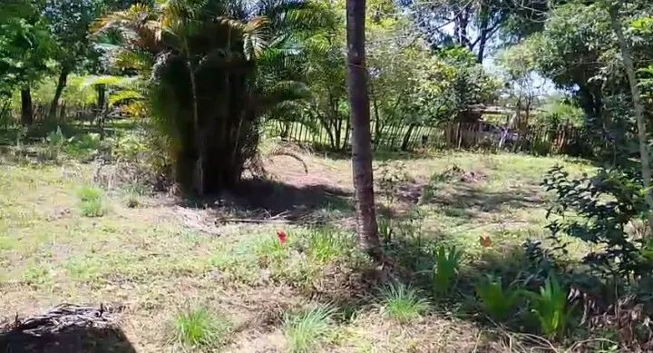 Foto - Nova Iguaçu - Barão de Guandu