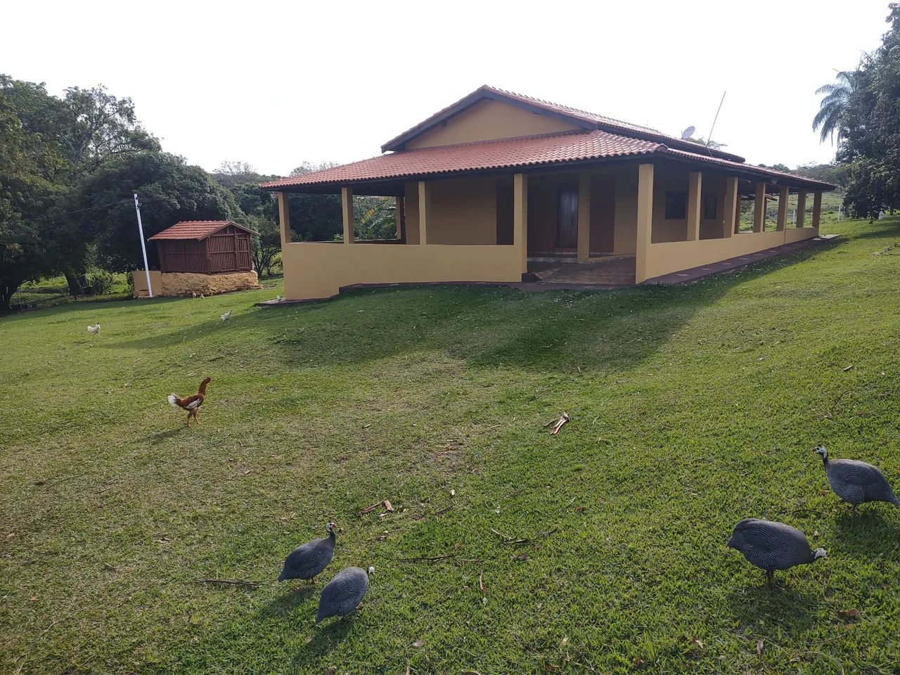 Foto - Cajuru - Jardim Três Marias II