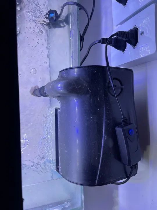 Aquário completo 80L - Foto 3