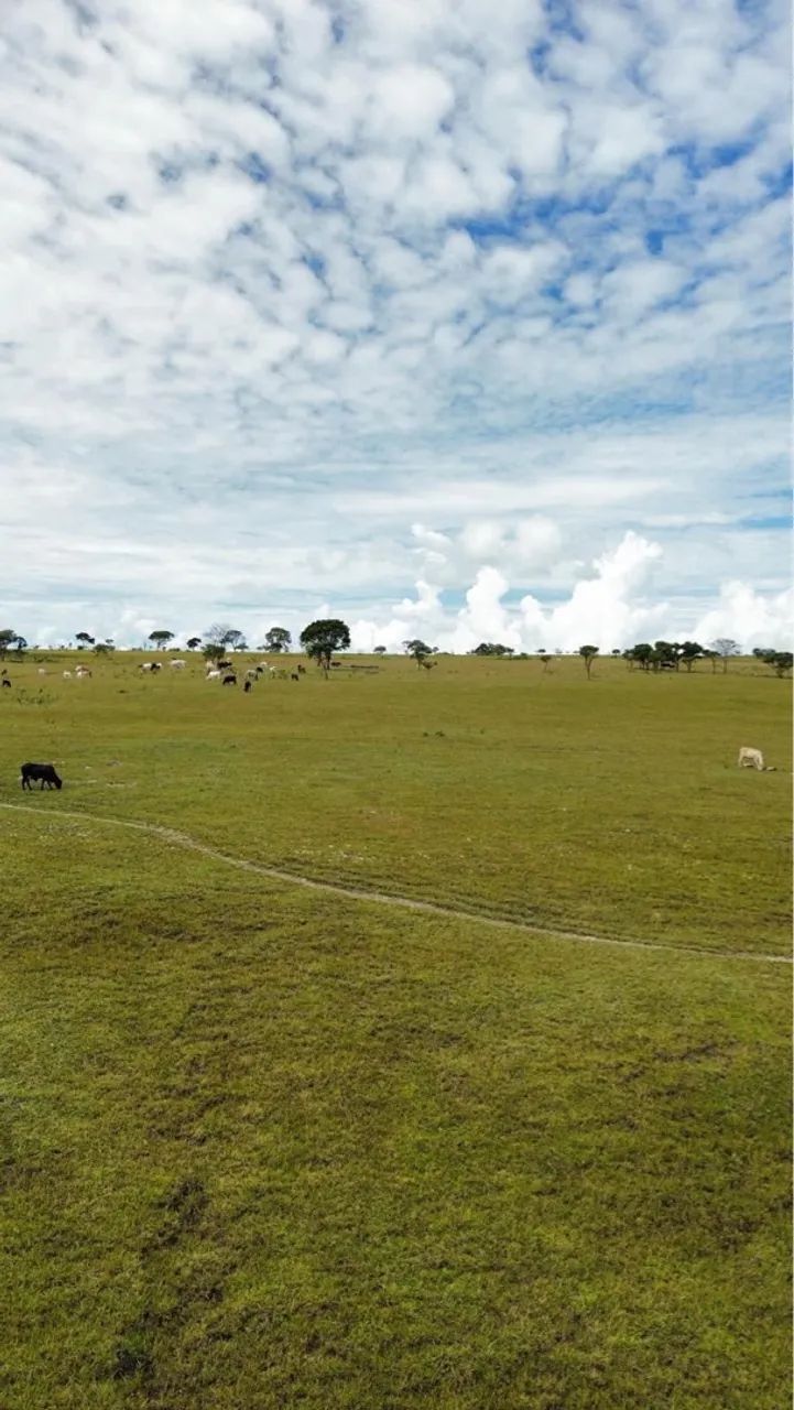 Fazenda em cocalzinho  - Foto 4