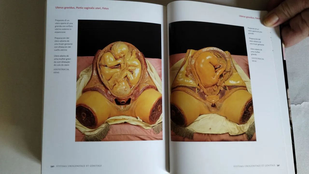 Encyclopaedia Anatomica- Taschen<br> - Foto 3