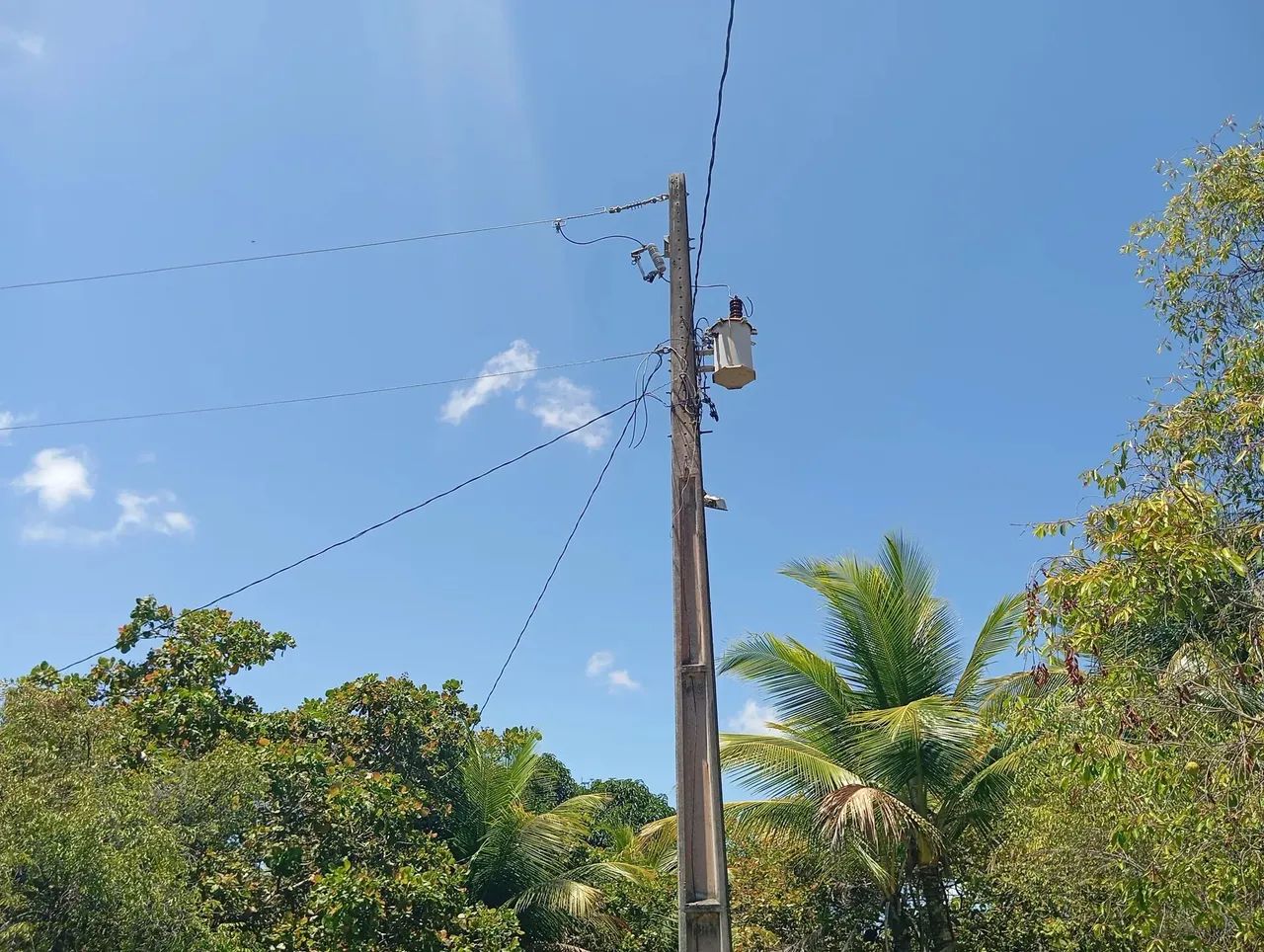Sítio com 2,7 tarefas no povoado Angelim- Santo Amaro das Brotas - SE - Foto 2