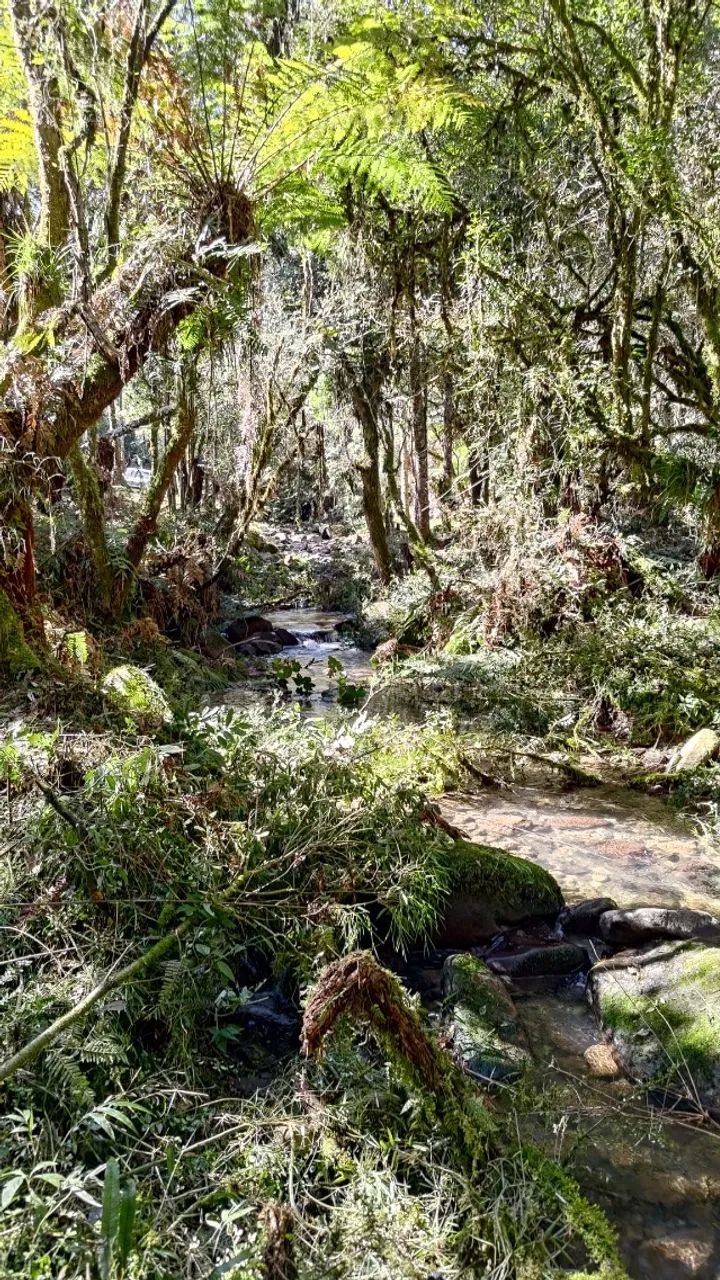 Sitio / Terreno / Chácara / Rio dos Bugres Urubici Cascata e Rio - Foto 5