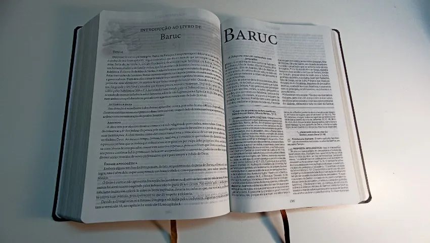 Bíblia Apologética com Apócrifos | ARC | Muito Nova! | Bíblia Top - Foto 4