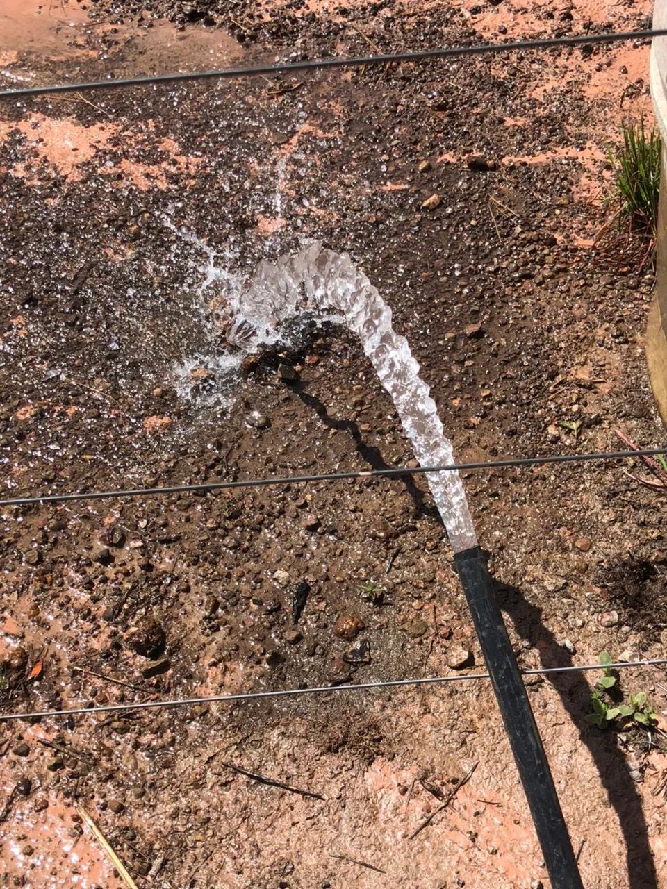 Vende se chácara  - Foto 11