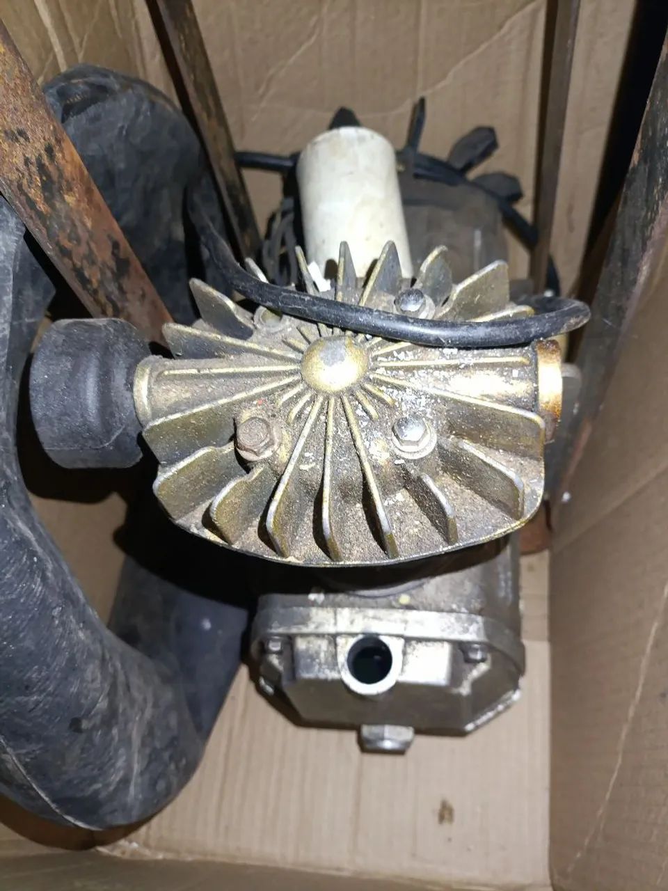 Pra vender ligueiro  - Foto 2