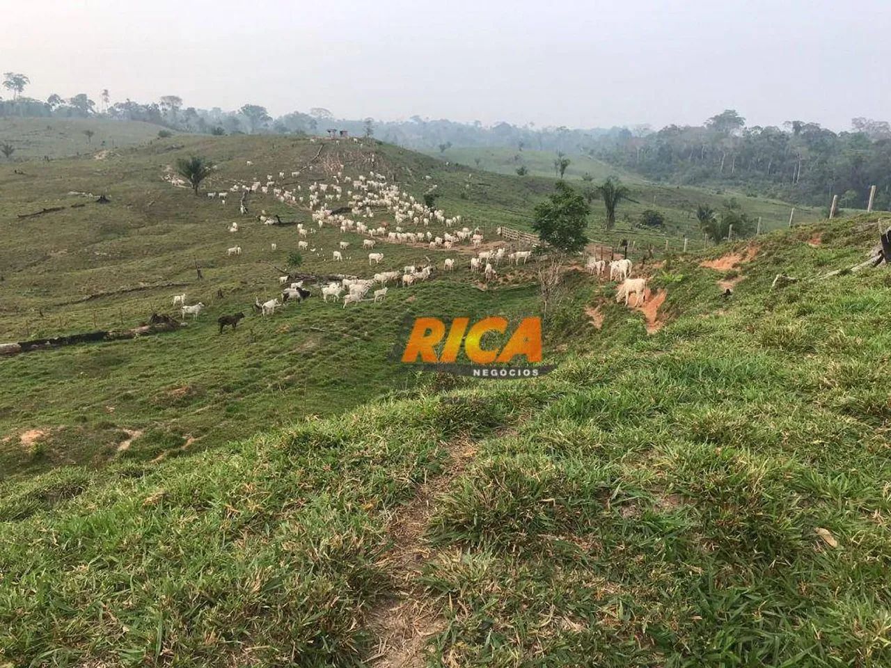 Excelente fazenda à venda, com 814,30 hectares no município Sena Madureira/AC - Foto 2