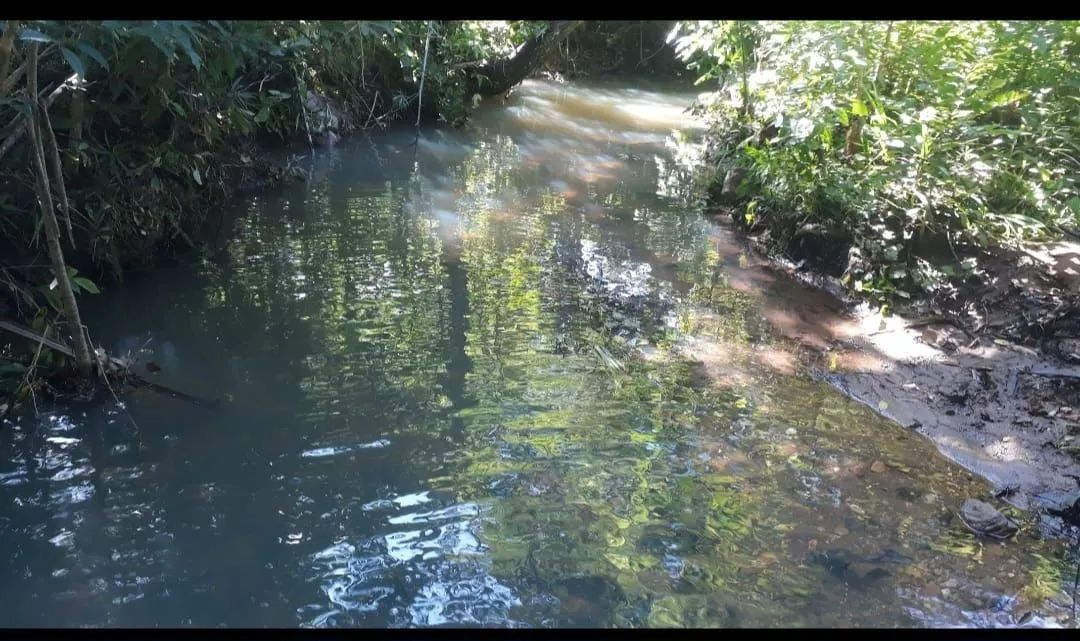 Sítio Rosário Oeste  - Foto 4