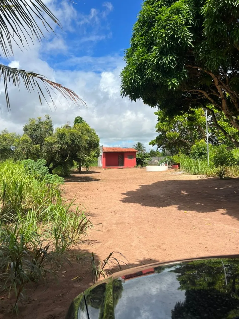 Granja de 6.000 m² com estrutura completa em Maçaranduba (São Gonçalo/RN) por R$ 200 mil