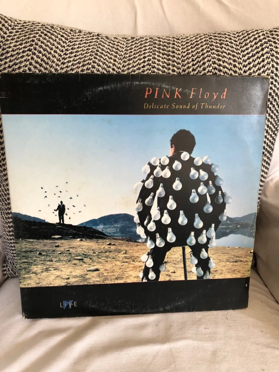 Pink Floyd - Delicate Sound of Thunder (Vinil)