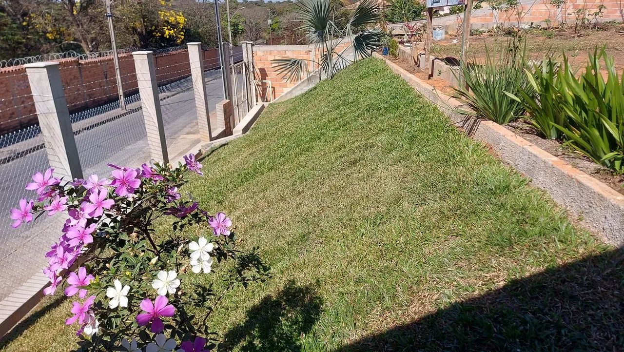 Lote perfeito no Braúnas - Foto 2