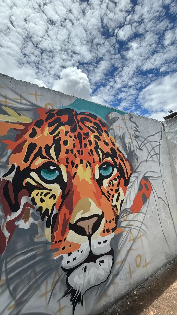 Grafite, quadros decorativos, pinturas externas e internas - Foto 5