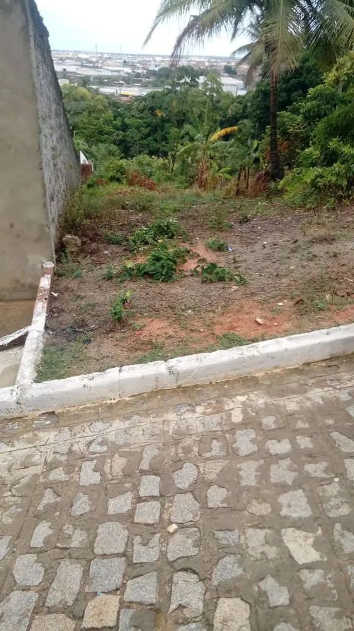 Terreno - Foto 2