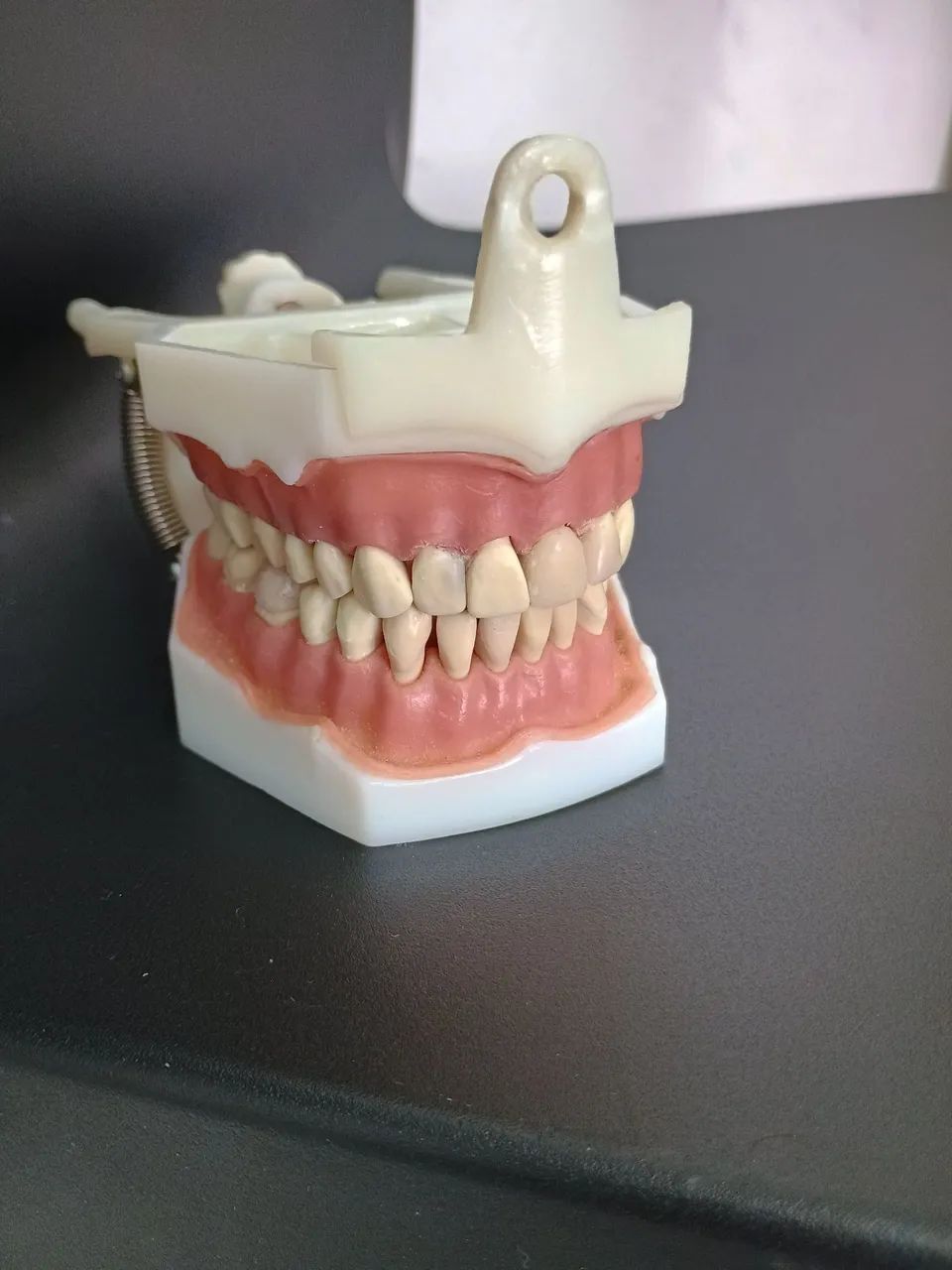 Manequins Odontológicos  - Foto 5