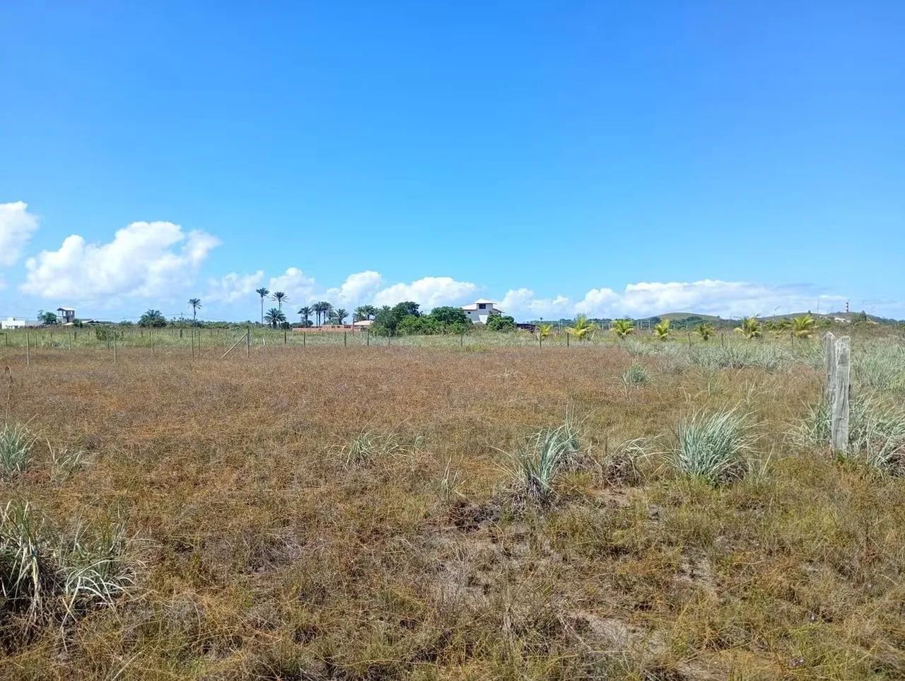 Terreno Taipu de Fora Ba - Foto 4