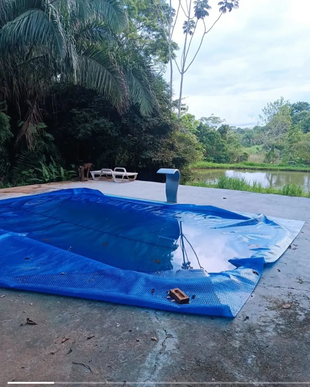 Chacara bela vista - Foto 4