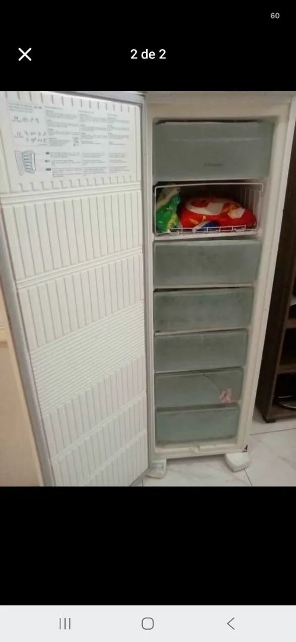 Freezer Electrolux 