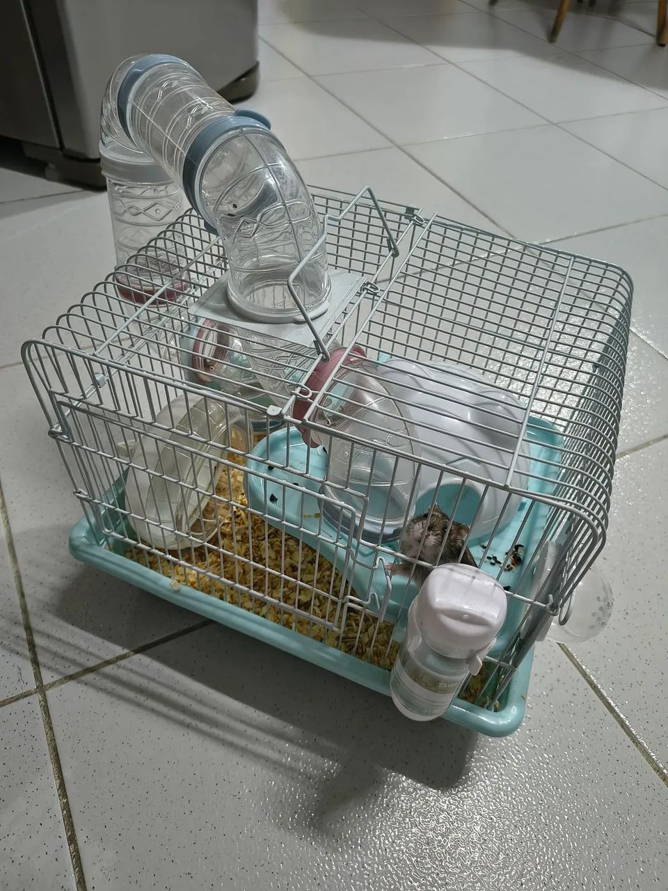 Gaiola com Hamster