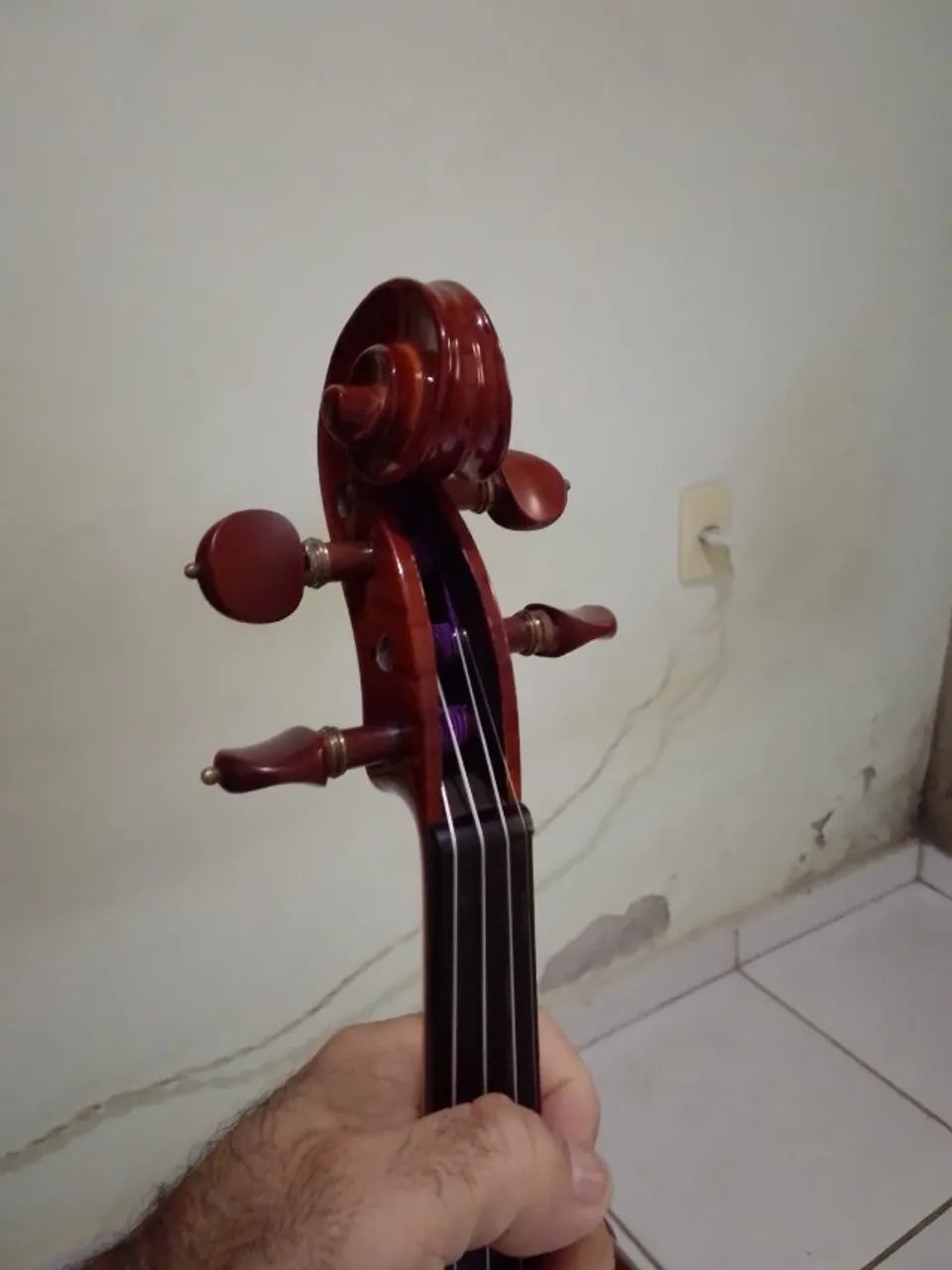 Violino eagle  - Foto 5