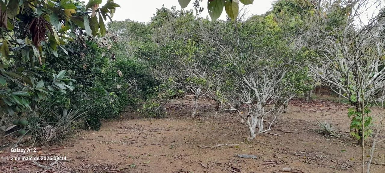 Terreno para vender  - Foto 5