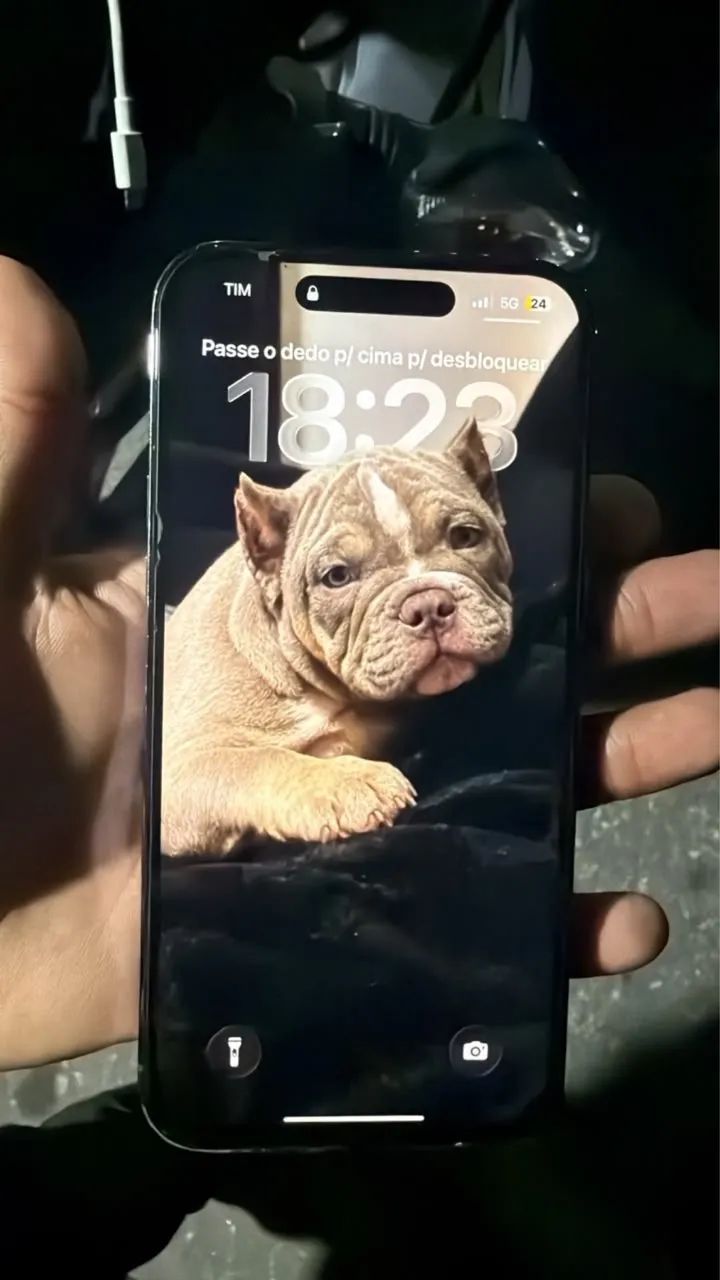 iPhone pro max - Foto 2