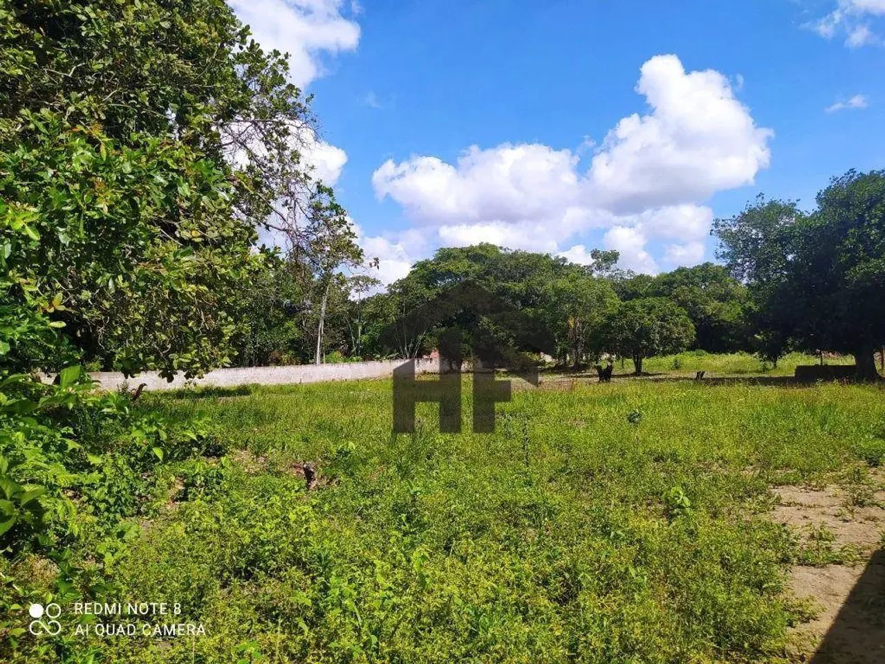 Terreno com 5000 m² em Aldeia, Camaragibe - Foto 4