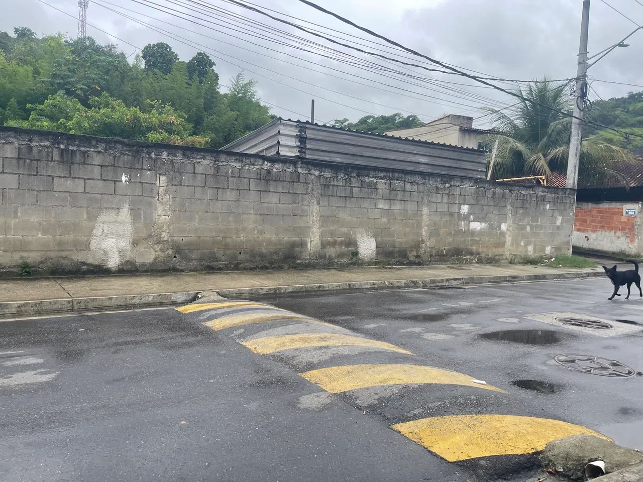 Foto - Rio de Janeiro - Guaratiba