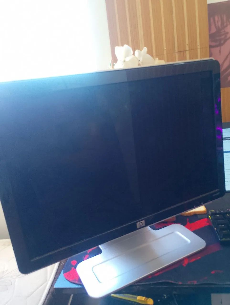 Monitor 19p Hp w1907