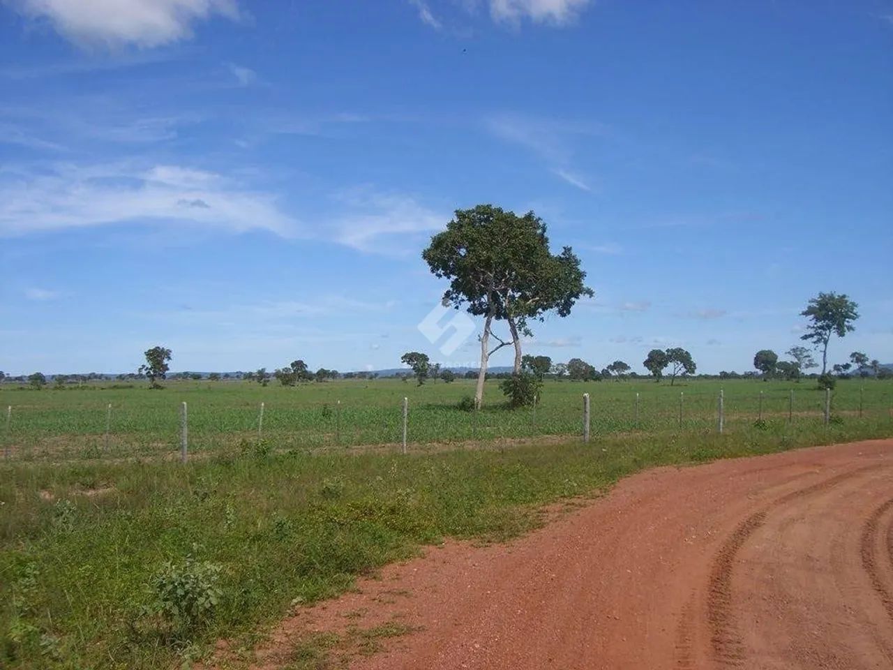 Fazenda em Caceres/MT - Foto 2