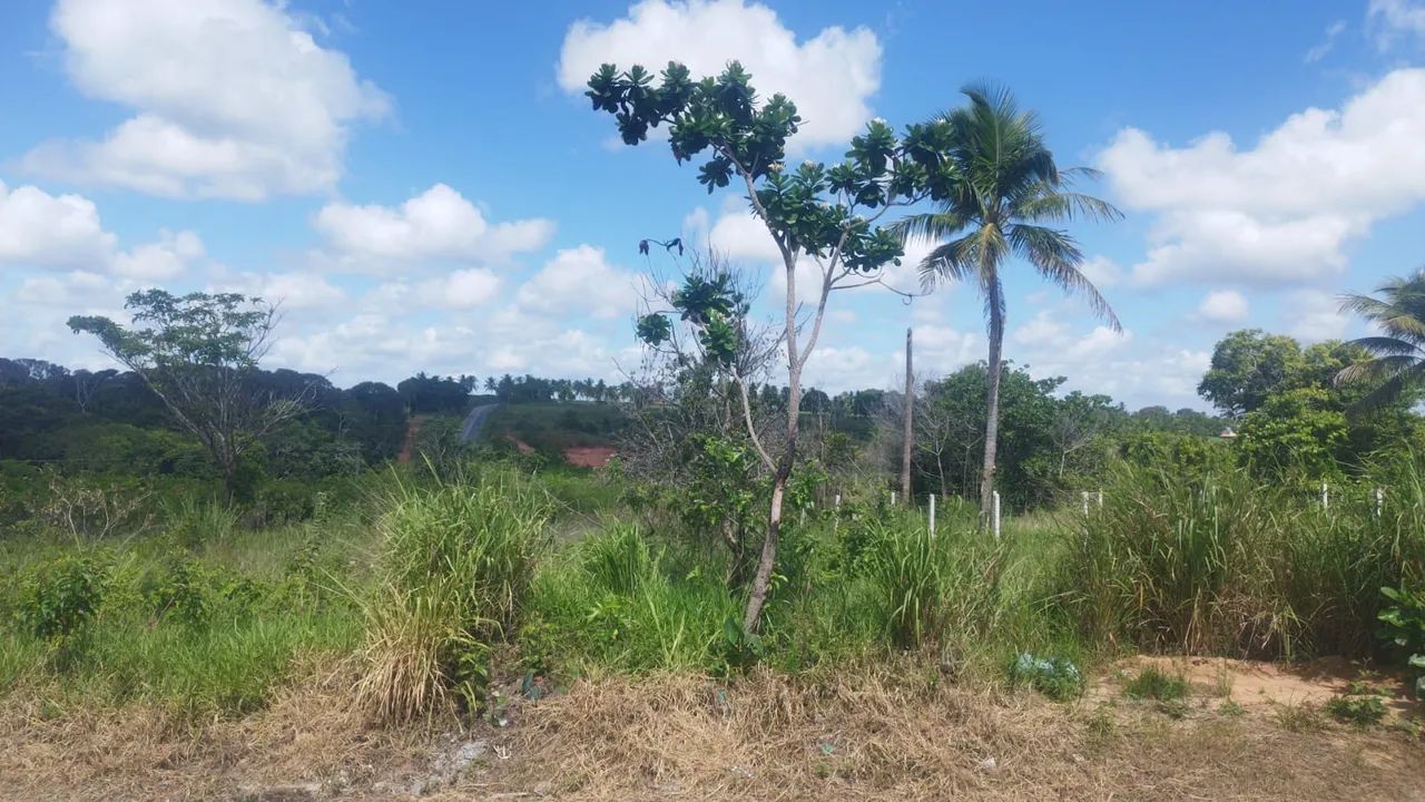 Terreno  - Foto 2