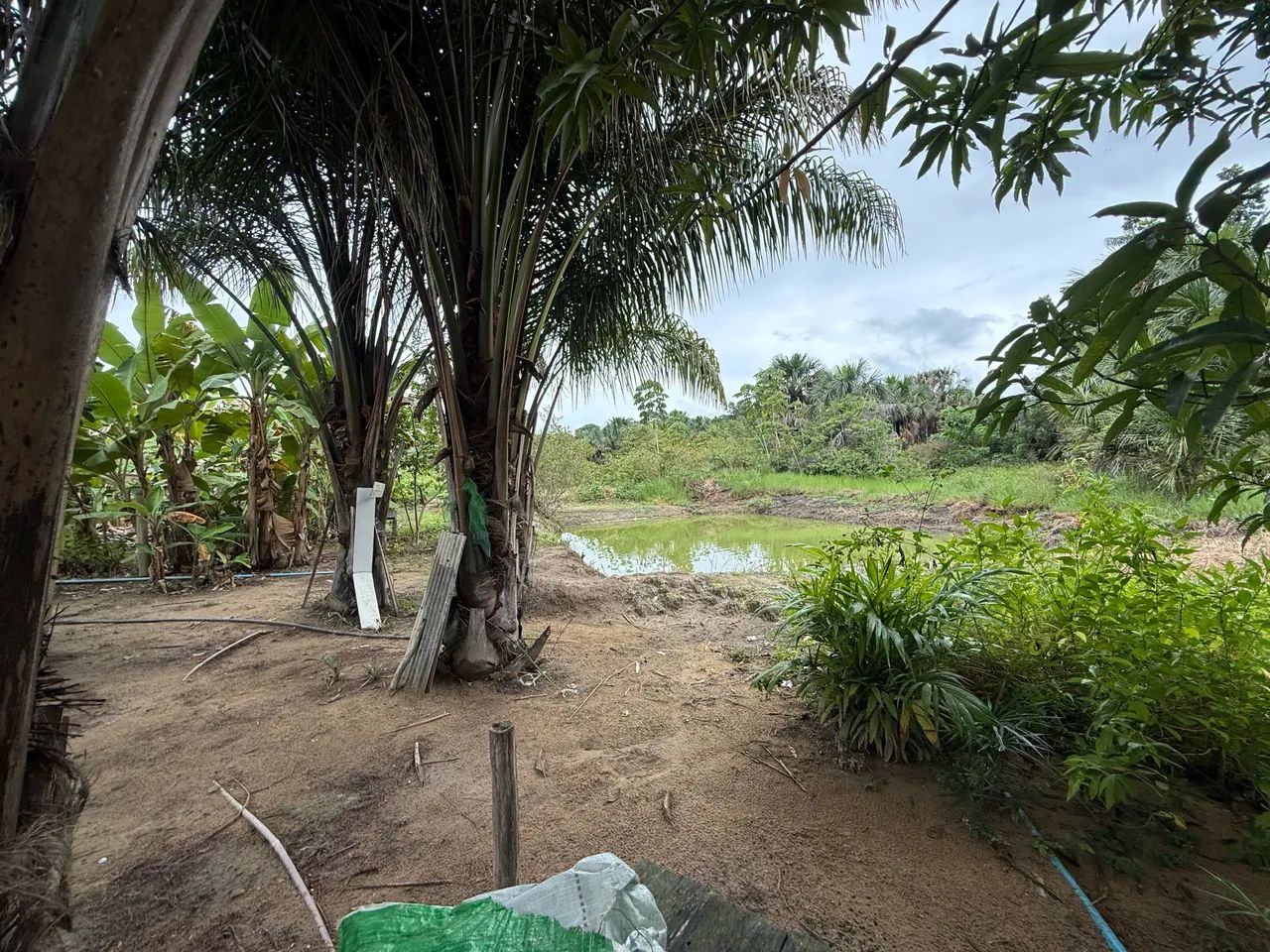 CHÁCARA NO SANTA RITA VENDO OU TROCO ZAP * - Foto 4