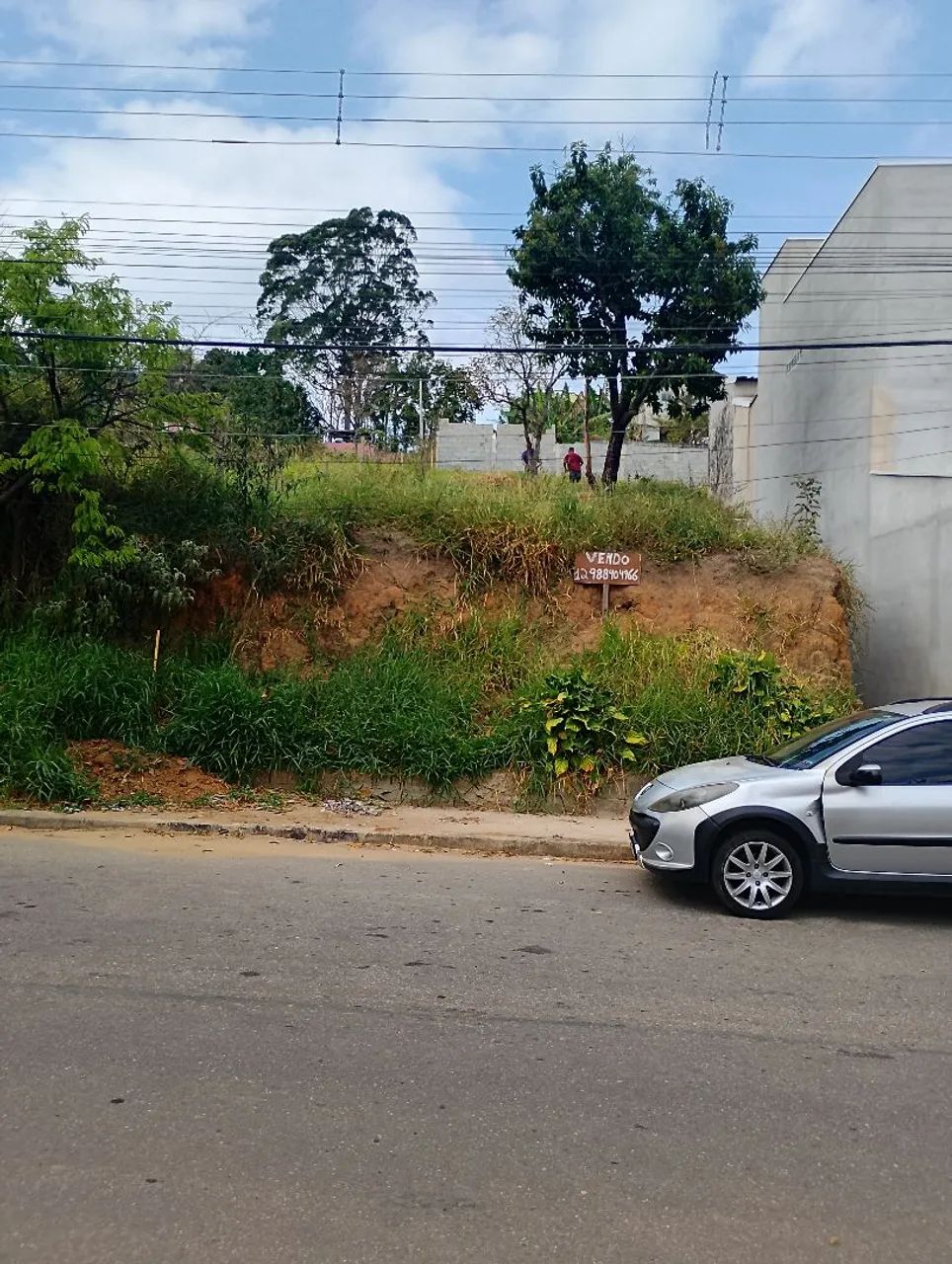 Terreno 